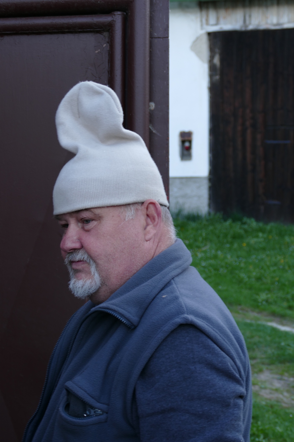 Karel Ševčík