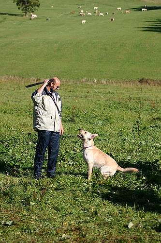 img_5990_std