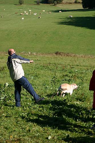 img_5992_std