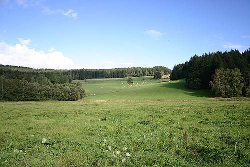 img_6019_std