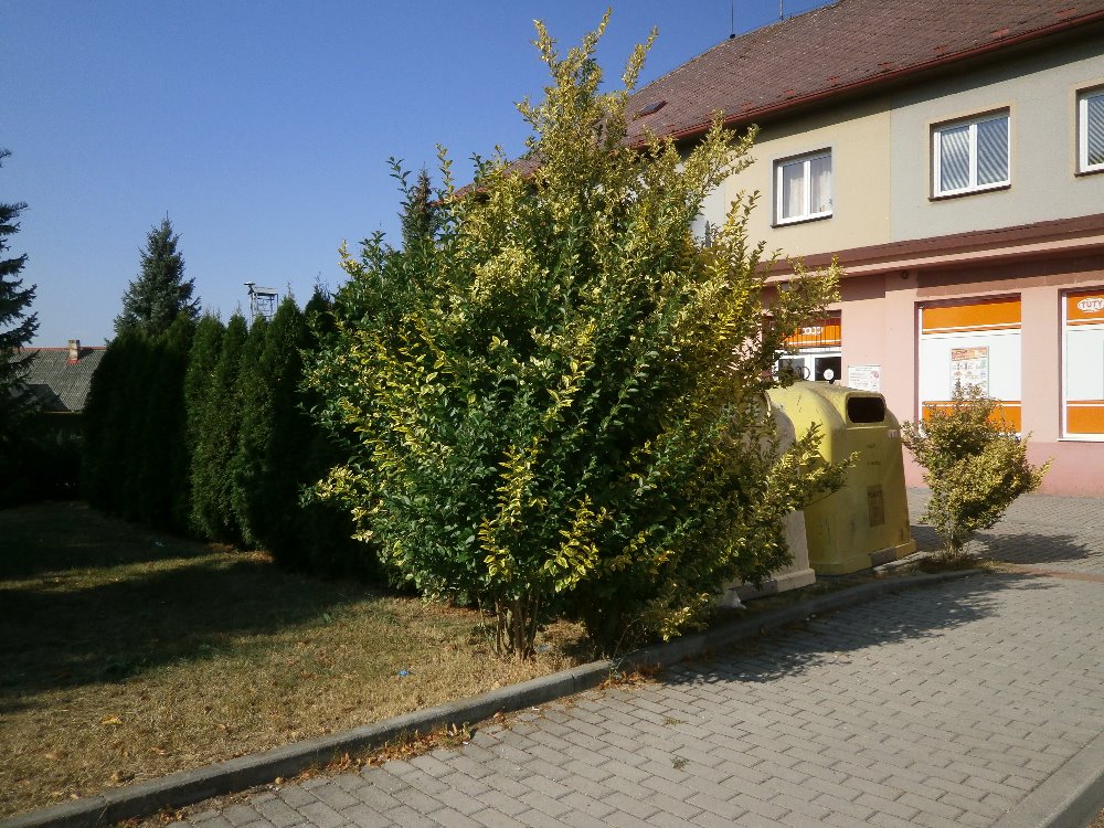 P8204639