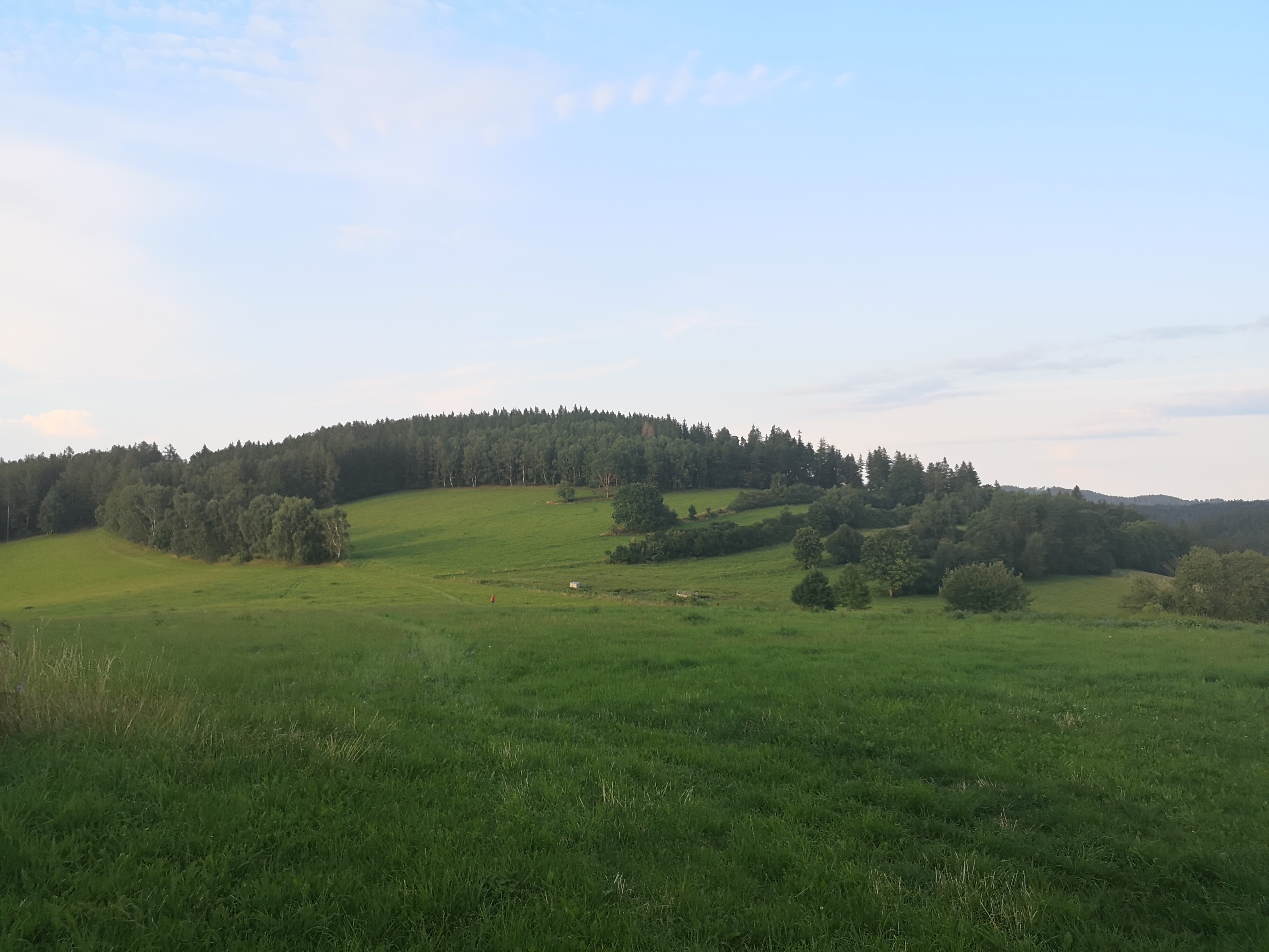 IMG_20210726_193922