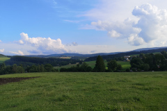 IMG_20210726_182012