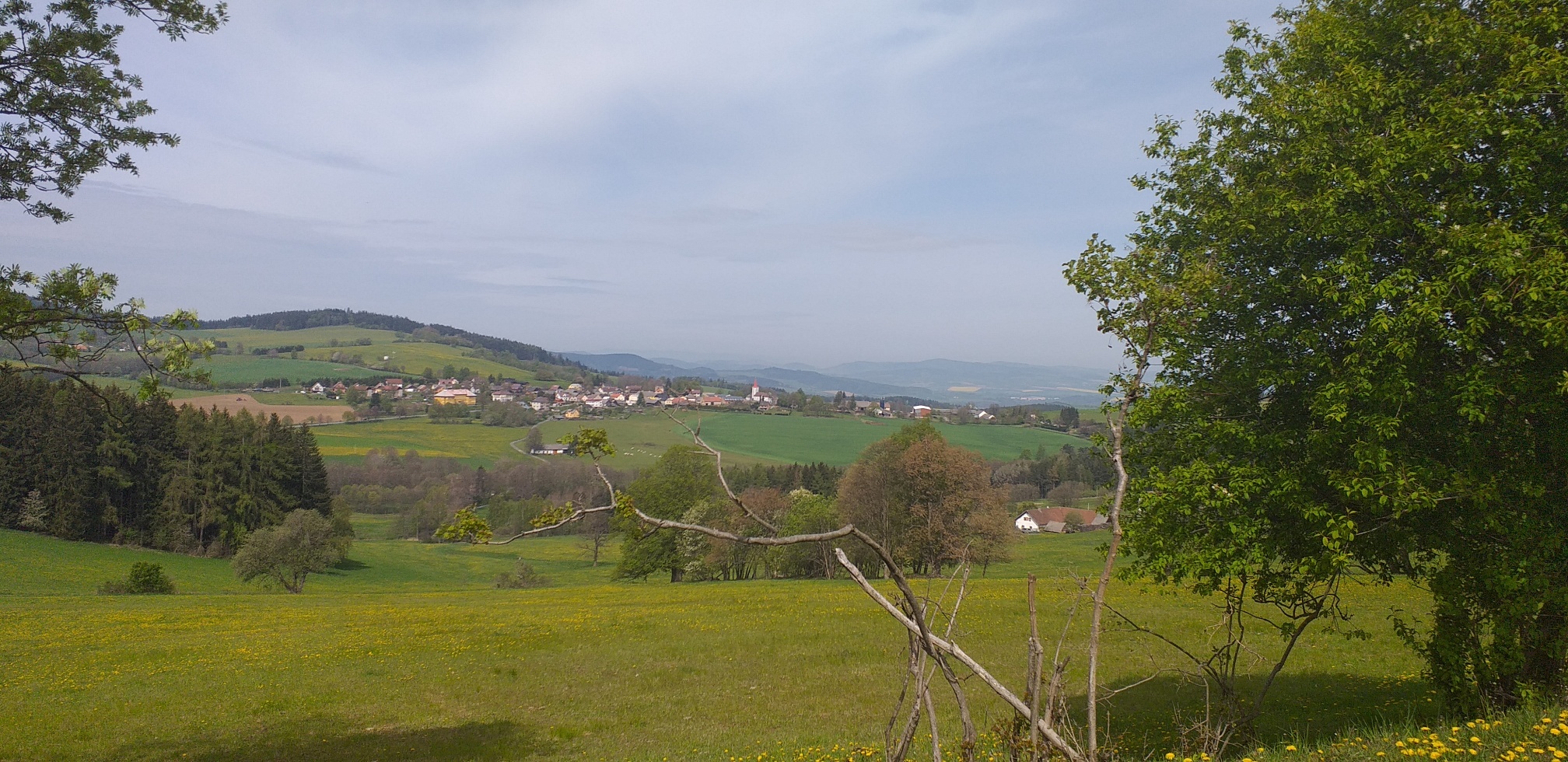 20190508_104418_resized