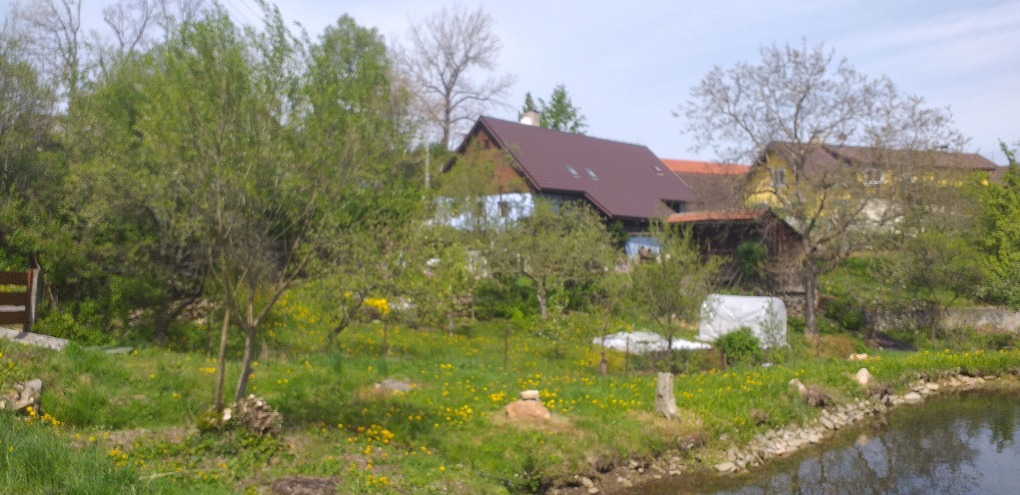 20190508_114815_resized