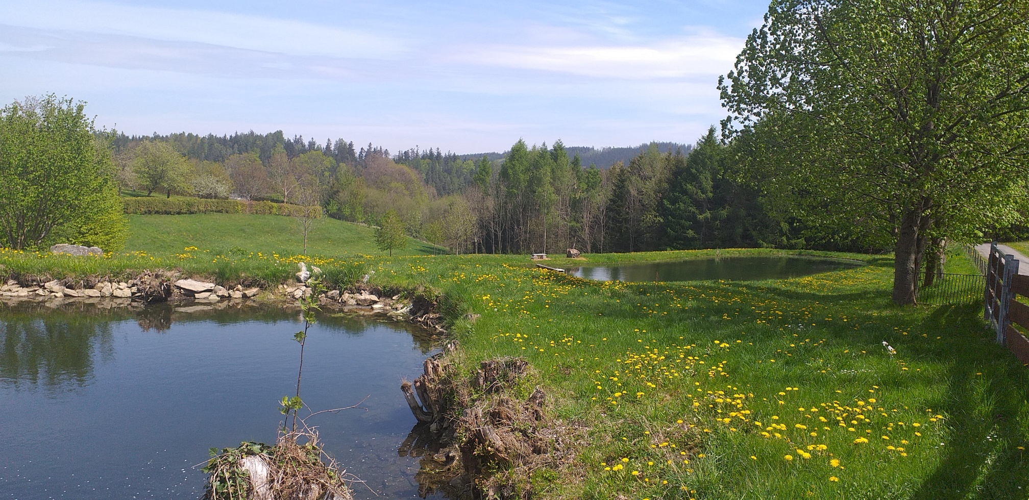 20190508_114828_resized