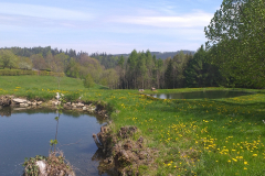 20190508_114828_resized
